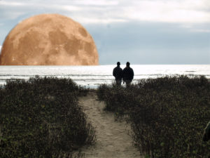 Moonrise